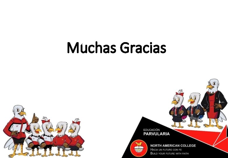 Muchas Gracias 