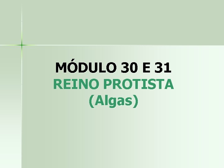 MÓDULO 30 E 31 REINO PROTISTA (Algas) 