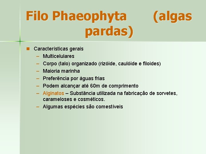 Filo Phaeophyta pardas) (algas n Características gerais – Multicelulares – Corpo (talo) organizado (rizóide,