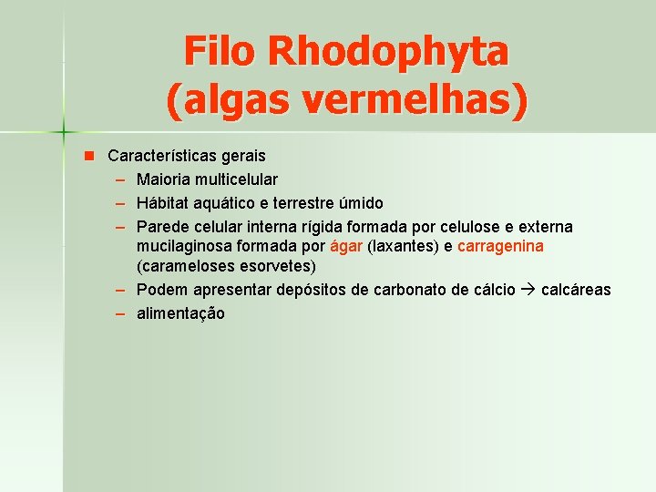Filo Rhodophyta (algas vermelhas) n Características gerais – Maioria multicelular – Hábitat aquático e