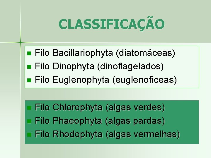CLASSIFICAÇÃO Filo Bacillariophyta (diatomáceas) n Filo Dinophyta (dinoflagelados) n Filo Euglenophyta (euglenofíceas) n Filo