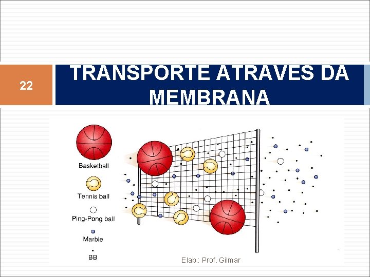 22 TRANSPORTE ATRAVÉS DA MEMBRANA Elab. : Prof. Gilmar 22 TRANSPORTE ATRAVÉS DA MEMBRANA Elab. : Prof. Gilmar