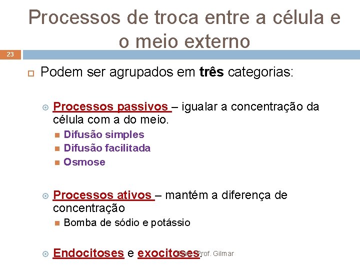23 Processos de troca entre a célula e o meio externo Podem ser agrupados 23 Processos de troca entre a célula e o meio externo Podem ser agrupados