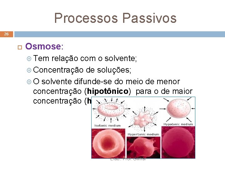 Processos Passivos 26 Osmose: Tem relação com o solvente; Concentração de soluções; O solvente Processos Passivos 26 Osmose: Tem relação com o solvente; Concentração de soluções; O solvente