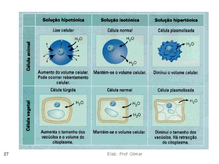 27 Elab. : Prof. Gilmar 27 Elab. : Prof. Gilmar