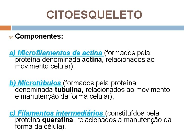 CITOESQUELETO Componentes: a) Microfilamentos de actina (formados pela proteína denominada actina, relacionados ao movimento CITOESQUELETO Componentes: a) Microfilamentos de actina (formados pela proteína denominada actina, relacionados ao movimento