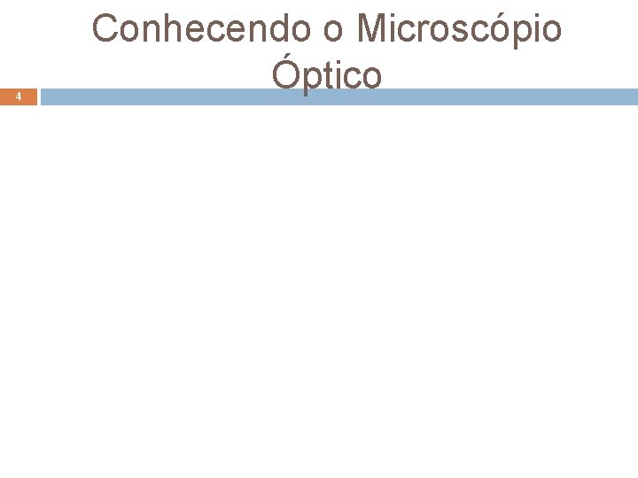 4 Conhecendo o Microscópio Óptico Elab. : Prof. Gilmar 4 Conhecendo o Microscópio Óptico Elab. : Prof. Gilmar