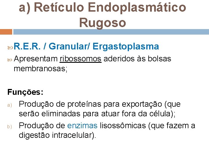 a) Retículo Endoplasmático Rugoso R. E. R. / Granular/ Ergastoplasma Apresentam ribossomos aderidos às a) Retículo Endoplasmático Rugoso R. E. R. / Granular/ Ergastoplasma Apresentam ribossomos aderidos às