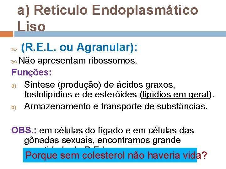a) Retículo Endoplasmático Liso (R. E. L. ou Agranular): Não apresentam ribossomos. Funções: a) a) Retículo Endoplasmático Liso (R. E. L. ou Agranular): Não apresentam ribossomos. Funções: a)