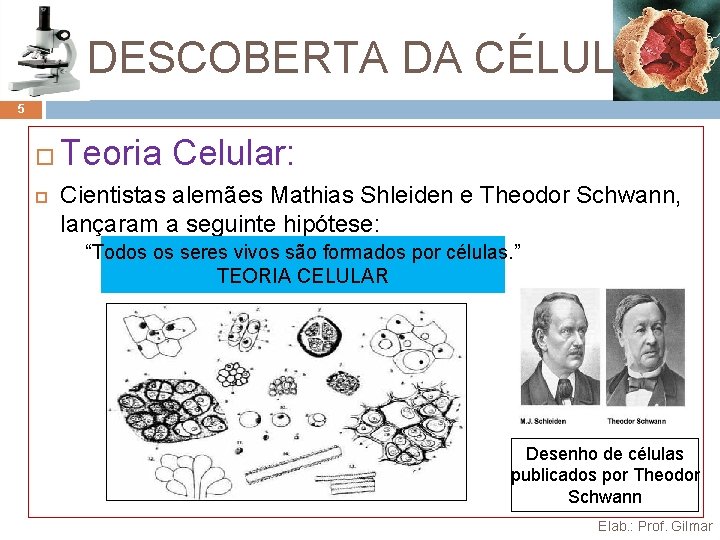 A DESCOBERTA DA CÉLULA 5 Teoria Celular: Cientistas alemães Mathias Shleiden e Theodor Schwann, A DESCOBERTA DA CÉLULA 5 Teoria Celular: Cientistas alemães Mathias Shleiden e Theodor Schwann,
