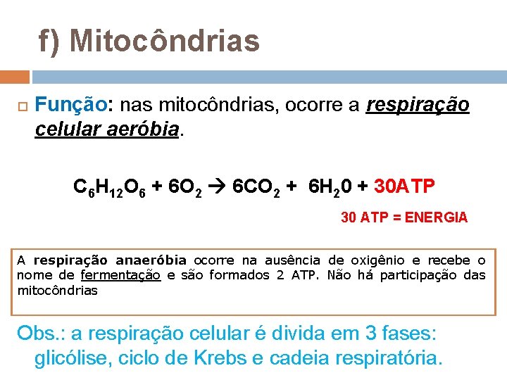 f) Mitocôndrias Função: nas mitocôndrias, ocorre a respiração celular aeróbia. C 6 H 12 f) Mitocôndrias Função: nas mitocôndrias, ocorre a respiração celular aeróbia. C 6 H 12