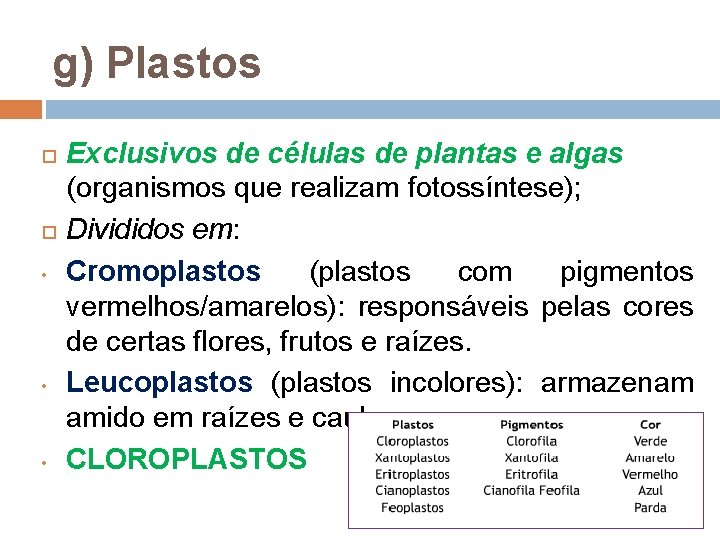 g) Plastos • • • Exclusivos de células de plantas e algas (organismos que g) Plastos • • • Exclusivos de células de plantas e algas (organismos que