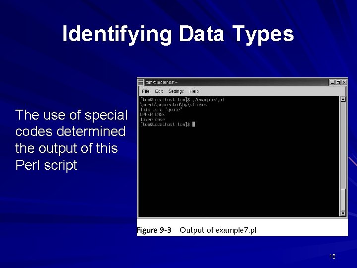 Identifying Data Types The use of special codes determined the output of this Perl