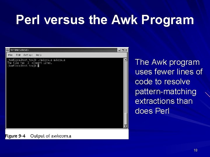 Perl versus the Awk Program The Awk program uses fewer lines of code to