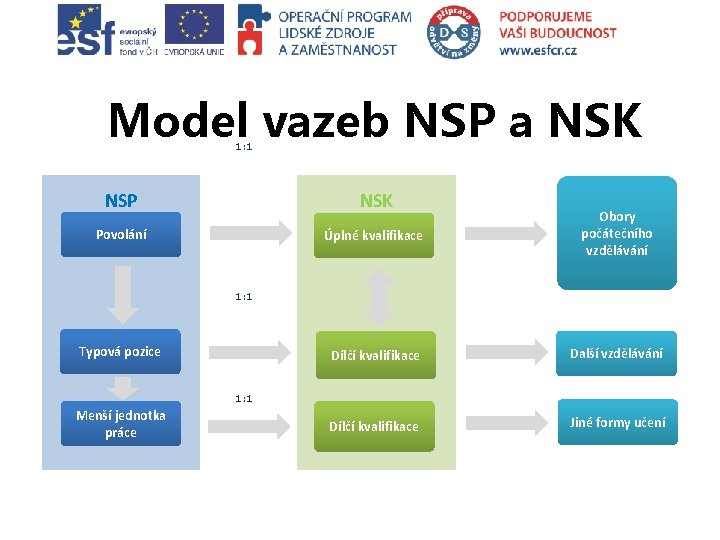 Model vazeb NSP a NSK 1: 1 NSP NSK Povolání Úplné kvalifikace Obory počátečního