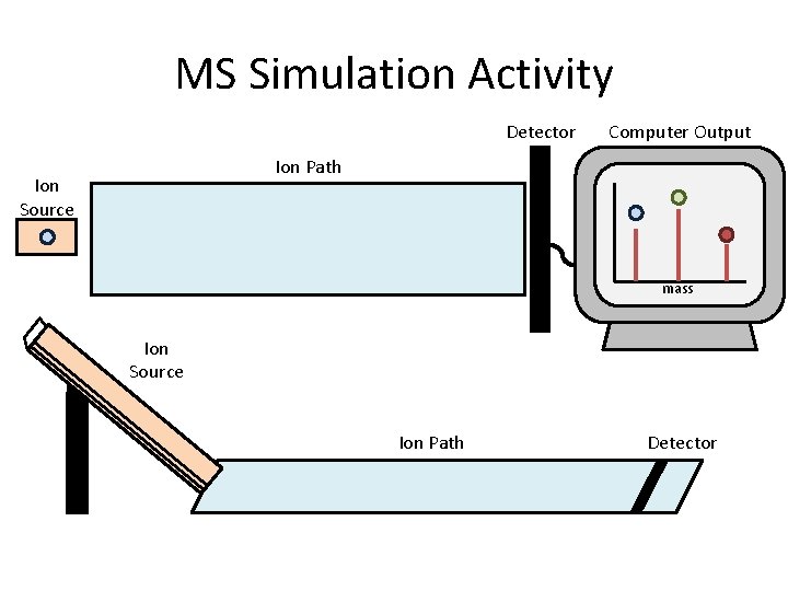 MS Simulation Activity Detector Computer Output Ion Path Ion Source mass Ion Source Ion