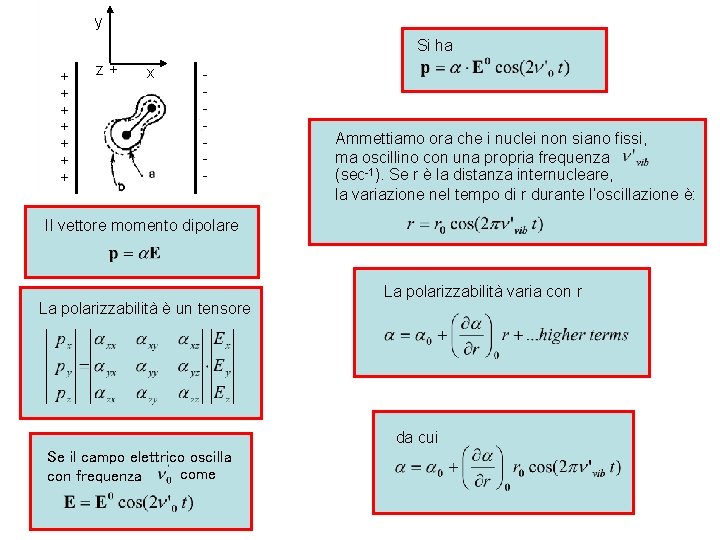 y Si ha + + + + z+ x - Ammettiamo ora che i