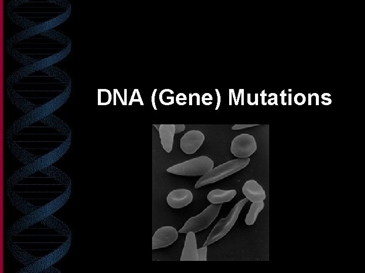 DNA (Gene) Mutations 