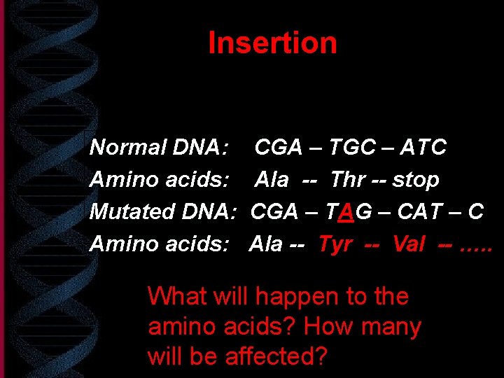 Insertion Normal DNA: Amino acids: Mutated DNA: Amino acids: CGA – TGC – ATC