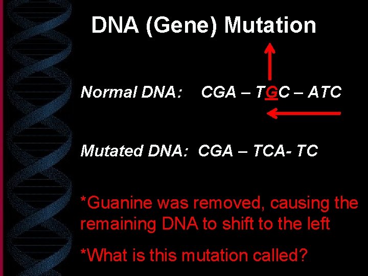 DNA (Gene) Mutation Normal DNA: CGA – TGC – ATC Mutated DNA: CGA –
