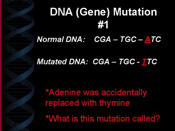 DNA (Gene) Mutation #1 Normal DNA: CGA – TGC – ATC Mutated DNA: CGA