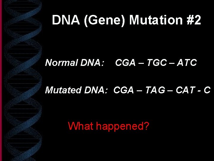 DNA (Gene) Mutation #2 Normal DNA: CGA – TGC – ATC Mutated DNA: CGA