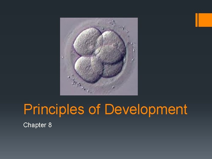 Principles of Development Chapter 8 