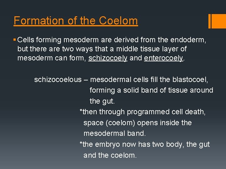 Formation of the Coelom § Cells forming mesoderm are derived from the endoderm, but