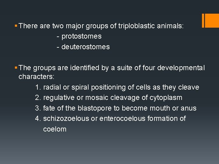 § There are two major groups of triploblastic animals: - protostomes - deuterostomes §