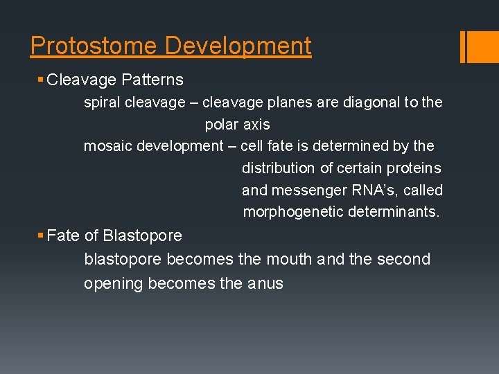 Protostome Development § Cleavage Patterns spiral cleavage – cleavage planes are diagonal to the