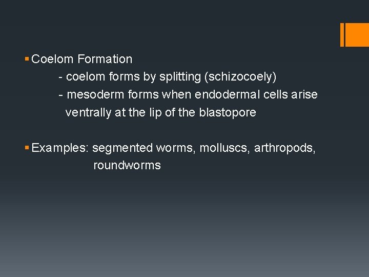 § Coelom Formation - coelom forms by splitting (schizocoely) - mesoderm forms when endodermal