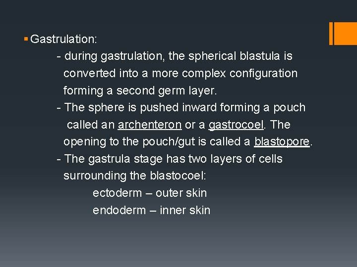 § Gastrulation: - during gastrulation, the spherical blastula is converted into a more complex