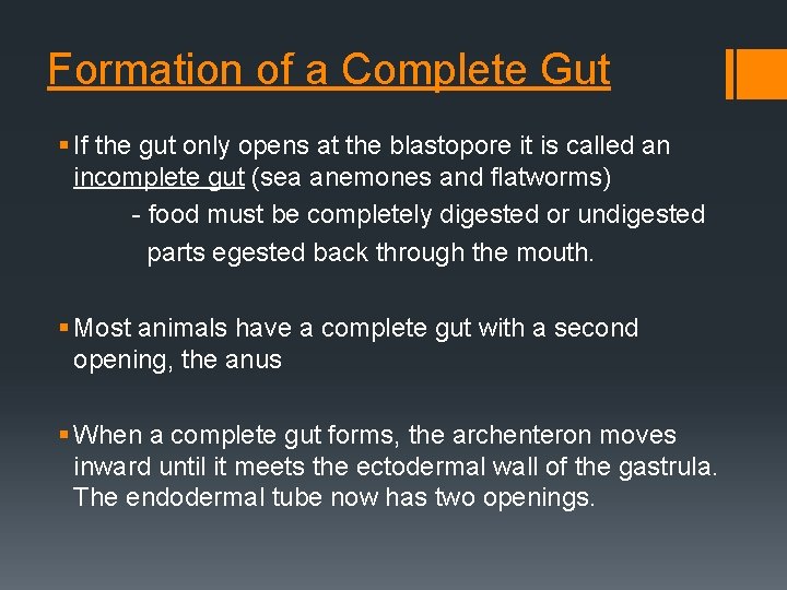 Formation of a Complete Gut § If the gut only opens at the blastopore