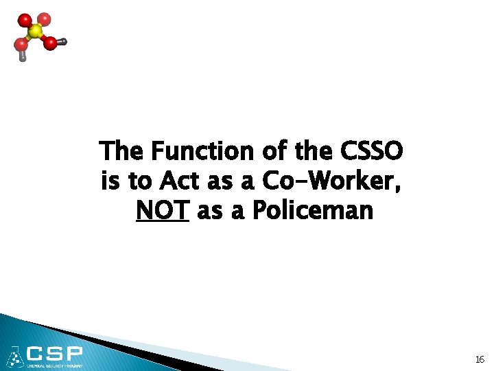 The Function of the CSSO is to Act as a Co-Worker, NOT as a