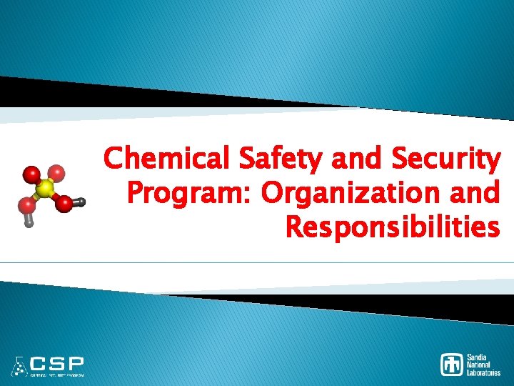 Chemical Safety and Security Program: Organization and Responsibilities 