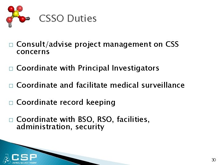 CSSO Duties � Consult/advise project management on CSS concerns � Coordinate with Principal Investigators