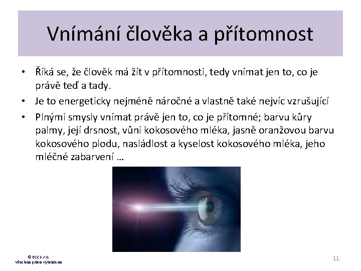 Vnímání člověka a přítomnost • Říká se, že člověk má žít v přítomnosti, tedy