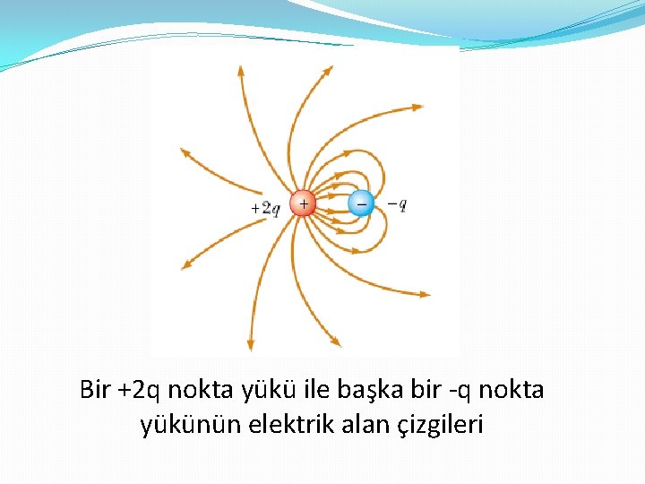 Bir +2 q nokta yükü ile başka bir -q nokta yükünün elektrik alan çizgileri