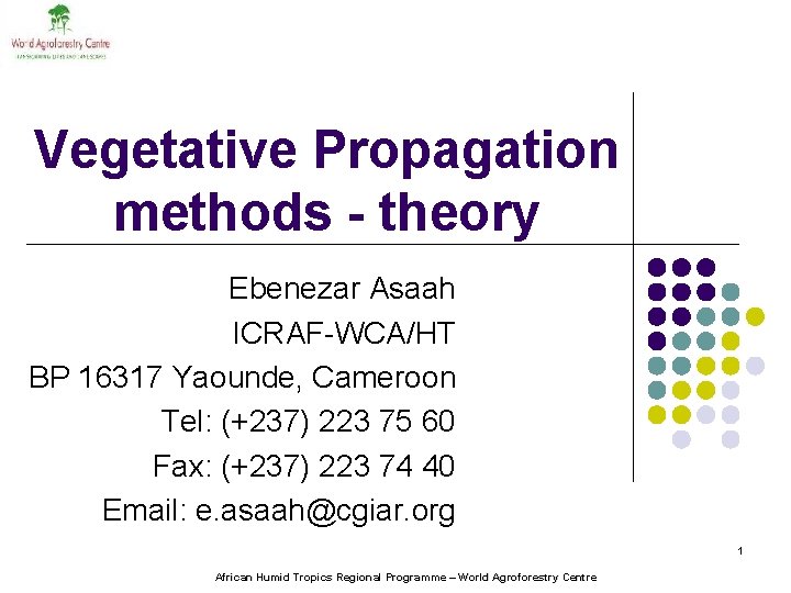 Vegetative Propagation methods - theory Ebenezar Asaah ICRAF-WCA/HT BP 16317 Yaounde, Cameroon Tel: (+237)