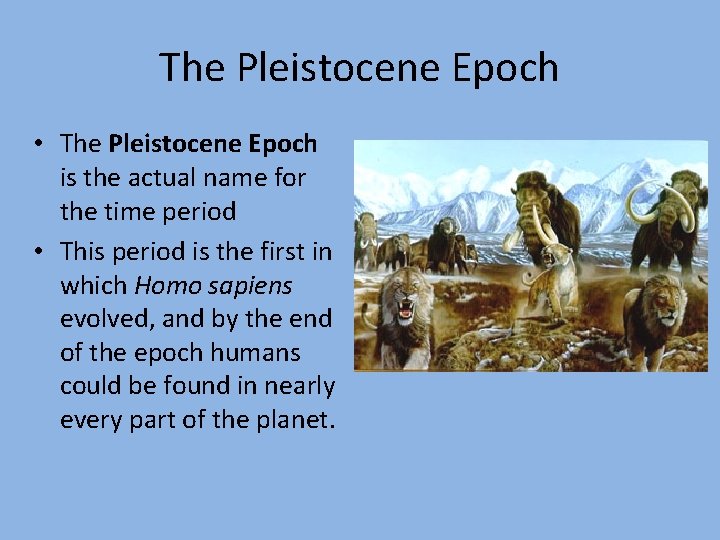 The Pleistocene Epoch • The Pleistocene Epoch is the actual name for the time