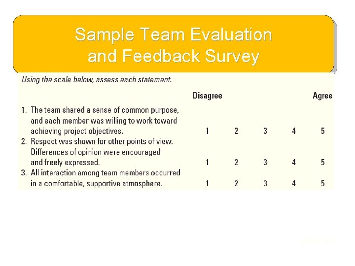 Sample Team Evaluation and Feedback Survey TABLE 14. 3 