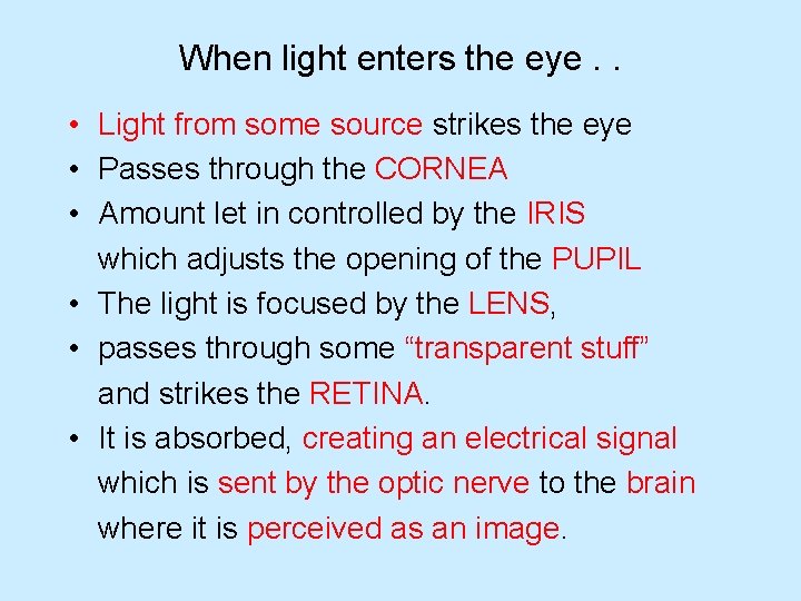 When light enters the eye. . • Light from some source strikes the eye