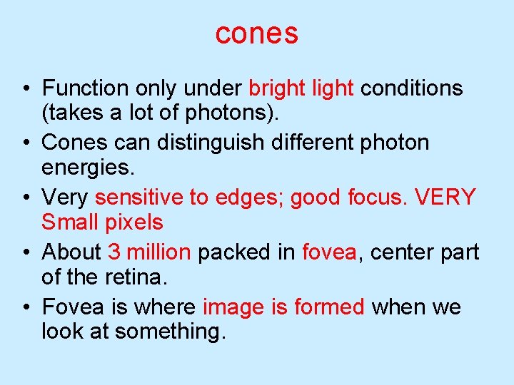 cones • Function only under bright light conditions (takes a lot of photons). • cones • Function only under bright light conditions (takes a lot of photons). •
