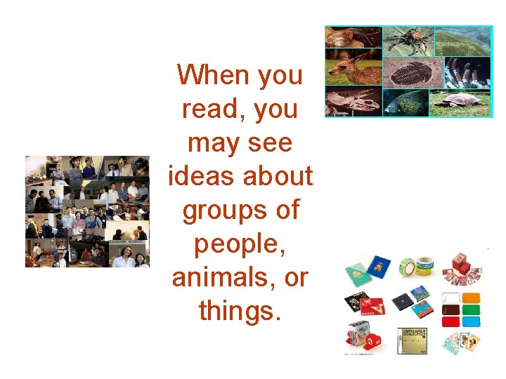 When you read, you may see ideas about groups of people, animals, or things. When you read, you may see ideas about groups of people, animals, or things.