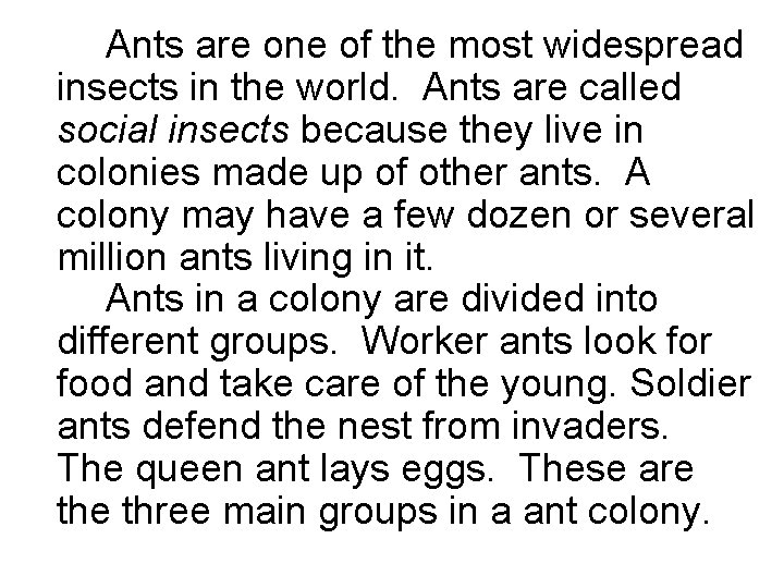 Ants are one of the most widespread insects in the world. Ants are called Ants are one of the most widespread insects in the world. Ants are called