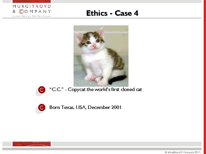 Ethics - Case 4 “C. C. ” - Copycat the world’s first cloned cat Ethics - Case 4 “C. C. ” - Copycat the world’s first cloned cat