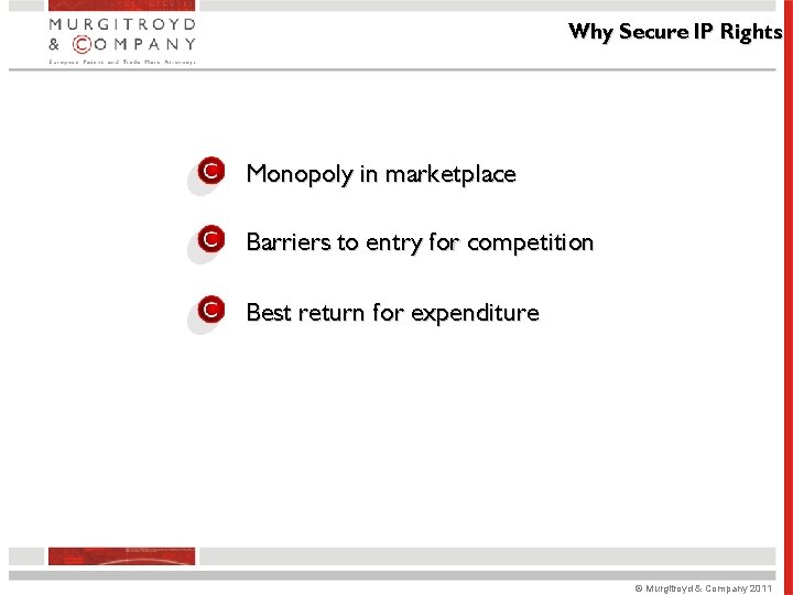 Why Secure IP Rights Monopoly in marketplace Barriers to entry for competition Best return Why Secure IP Rights Monopoly in marketplace Barriers to entry for competition Best return