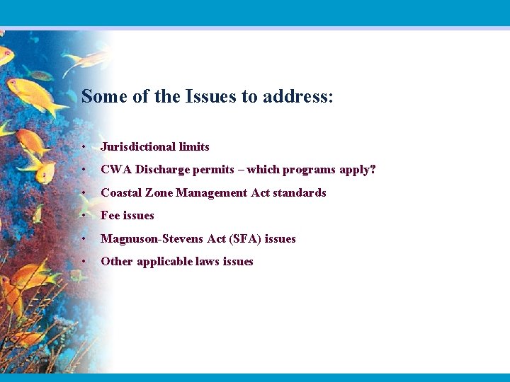 Some of the Issues to address: • Jurisdictional limits • CWA Discharge permits –