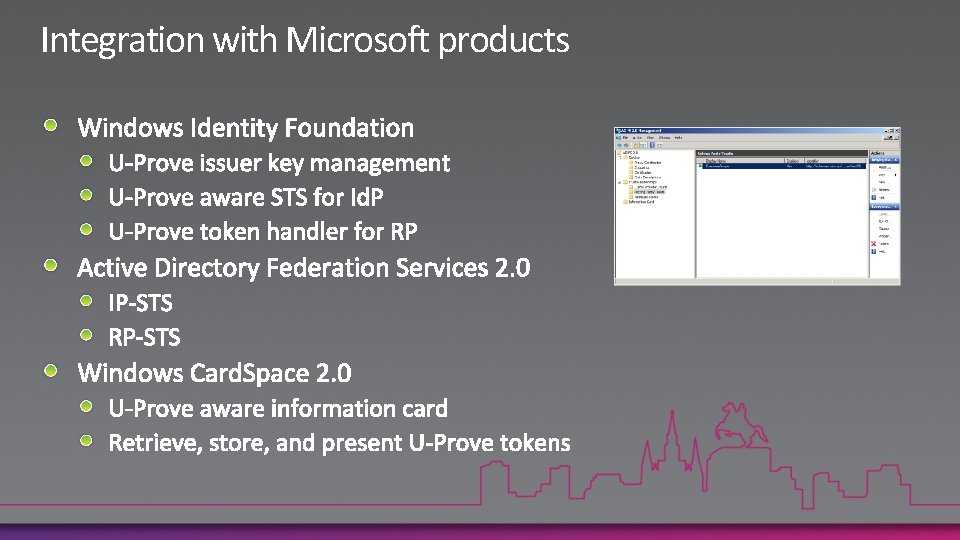 Integration with Microsoft products 