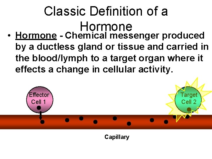 Classic Definition of a Hormone • Hormone - Chemical messenger produced by a ductless